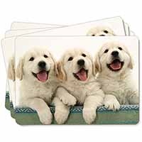 Golden Retriever Puppies Picture Placemats in Gift Box