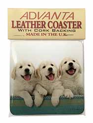 Golden Retriever Puppies Single Leather Photo Coaster