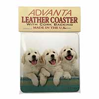Golden Retriever Puppies Single Leather Photo Coaster