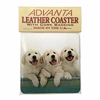 Golden Retriever Puppies Single Leather Photo Coaster