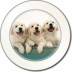 Golden Retriever Puppies Car or Van Permit Holder/Tax Disc Holder