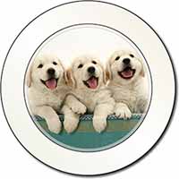 Golden Retriever Puppies Car or Van Permit Holder/Tax Disc Holder