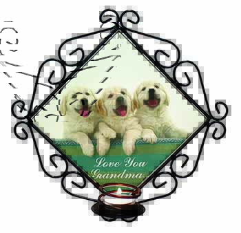 Golden Retrievers 