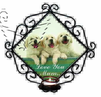 Golden Retrievers 