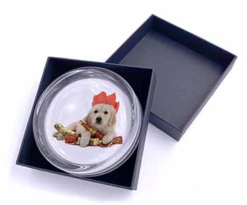 Christmas Golden Retriever Glass Paperweight in Gift Box