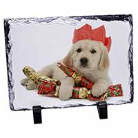 Christmas Golden Retriever, Stunning Photo Slate