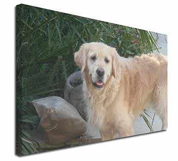 Golden Retriever Dog Canvas X-Large 30"x20" Wall Art Print