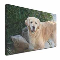 Golden Retriever Dog Canvas X-Large 30"x20" Wall Art Print