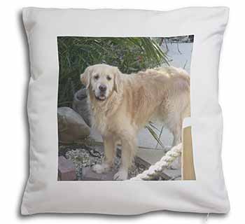 Golden Retriever Dog Soft White Velvet Feel Scatter Cushion