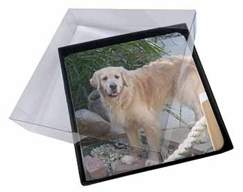 4x Golden Retriever Dog Picture Table Coasters Set in Gift Box