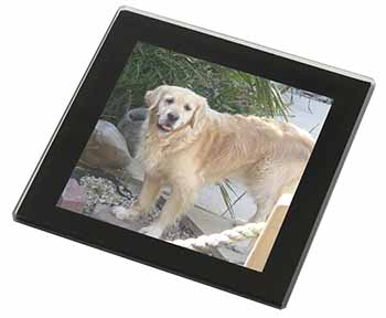 Golden Retriever Dog Black Rim High Quality Glass Coaster