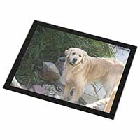 Golden Retriever Dog Black Rim High Quality Glass Placemat