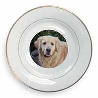 Golden Retriever Dog Gold Rim Plate Printed Full Colour in Gift Box