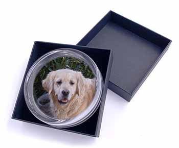 Golden Retriever Dog Glass Paperweight in Gift Box