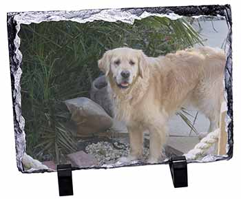 Golden Retriever Dog, Stunning Photo Slate