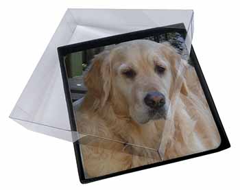 4x Golden Retriever Dog Picture Table Coasters Set in Gift Box