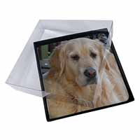 4x Golden Retriever Dog Picture Table Coasters Set in Gift Box