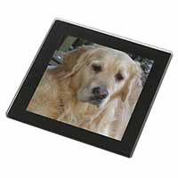 Golden Retriever Dog Black Rim High Quality Glass Coaster