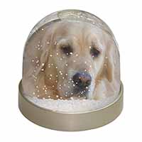 Golden Retriever Dog Snow Globe Photo Waterball