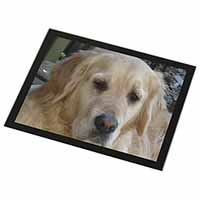 Golden Retriever Dog Black Rim High Quality Glass Placemat