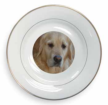 Golden Retriever Dog Gold Rim Plate Printed Full Colour in Gift Box