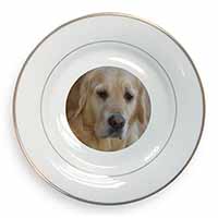 Golden Retriever Dog Gold Rim Plate Printed Full Colour in Gift Box