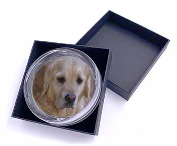 Golden Retriever Dog Glass Paperweight in Gift Box