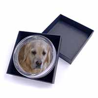 Golden Retriever Dog Glass Paperweight in Gift Box