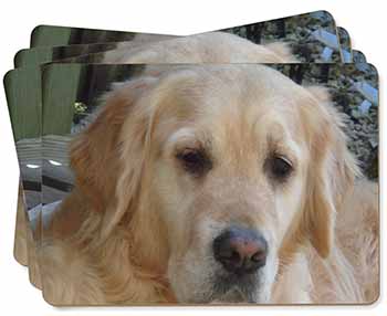 Golden Retriever Dog Picture Placemats in Gift Box