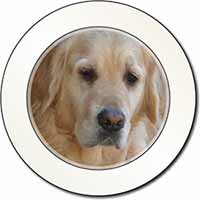 Golden Retriever Dog Car or Van Permit Holder/Tax Disc Holder
