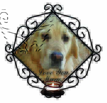 Golden Retriever Dog 