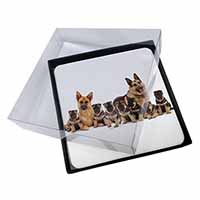 4x German Shepherd Dogs Picture Table Coasters Set in Gift Box
