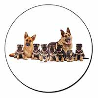 German Shepherd Dogs Fridge Magnet Printed Full Colour