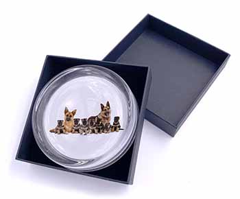 German Shepherd Dogs Glass Paperweight in Gift Box