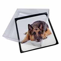 4x German Shepherd Picture Table Coasters Set in Gift Box