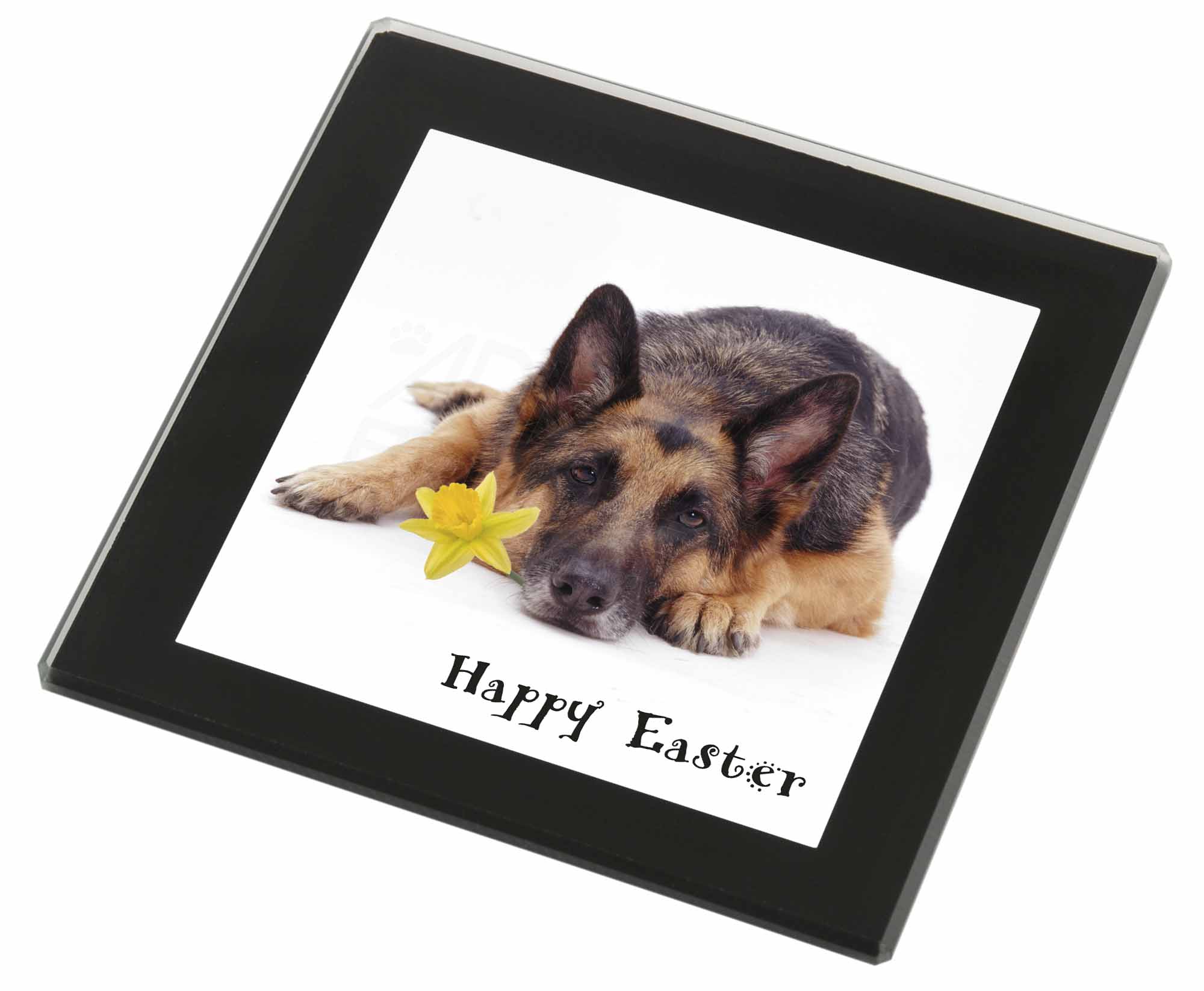 AD-GS1GC German Shepherd Black Rim Glass Coaster Animal Breed Gift AD-GS1GC German Shepherd Black Rim Glass Coaster Animal Breed Gift