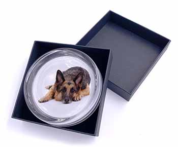 German Shepherd Glass Paperweight in Gift Box