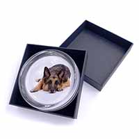 German Shepherd Glass Paperweight in Gift Box