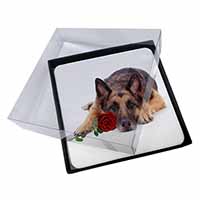 4x German Shepherd with Red Rose Picture Table Coasters Set in Gift Box