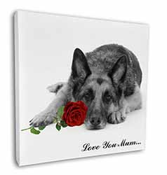 German Shepherd+Rose 