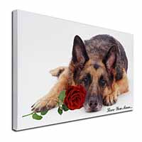 German Shepherd+Rose 