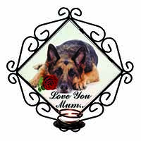 German Shepherd+Rose 