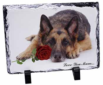 German Shepherd+Rose 