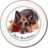 German Shepherd+Rose 