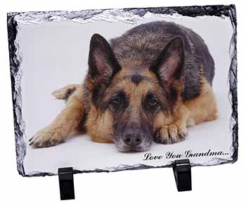 German Shepherd Grandma, Stunning Photo Slate