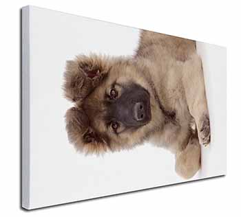 German Shepherd Puppy Canvas X-Large 30"x20" Wall Art Print