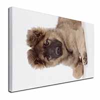 German Shepherd Puppy Canvas X-Large 30"x20" Wall Art Print