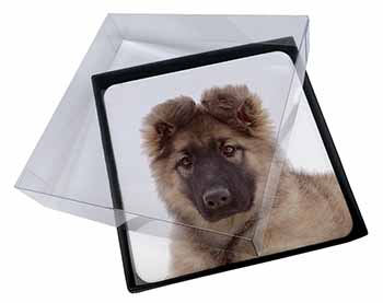 4x German Shepherd Puppy Picture Table Coasters Set in Gift Box