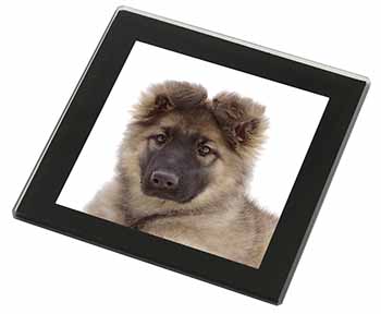 German Shepherd Puppy Black Rim High Quality Glass Coaster