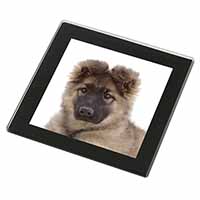 German Shepherd Puppy Black Rim High Quality Glass Coaster
